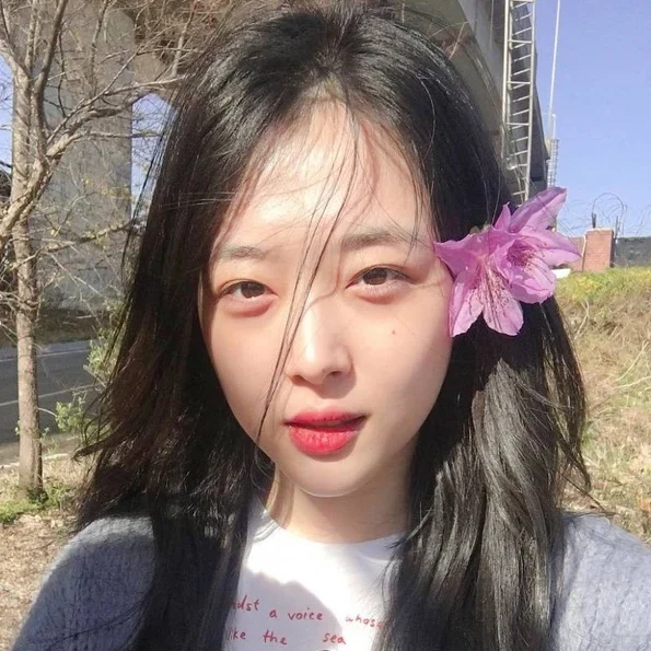 sulli